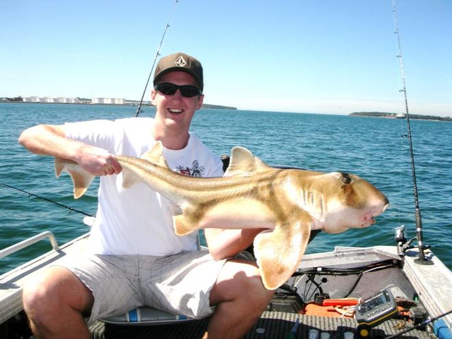Andrew caught this port jackson shark while chasing bream with blades © Gary Brown